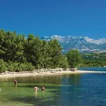 Holiday home Pet Friendly In *